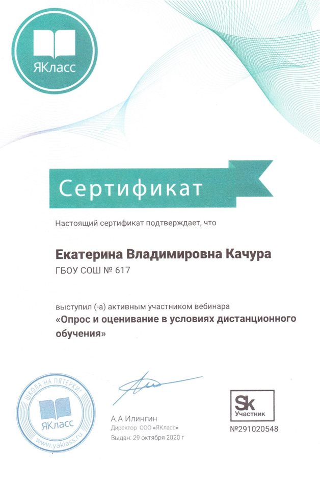 2020-2021 Качура Е.В. (Сертификат ЯКласс)